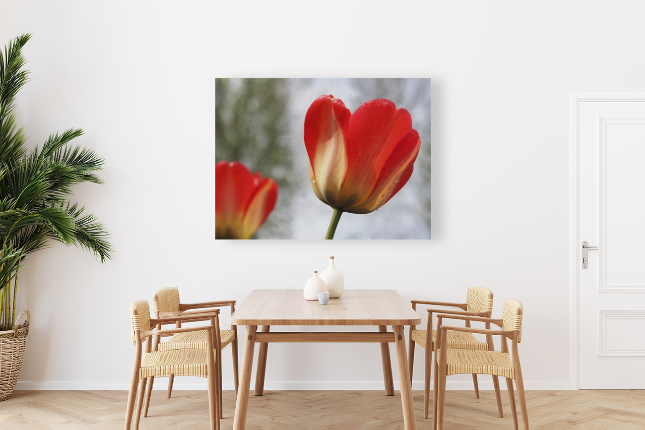 Leaning Tulip Reproduction