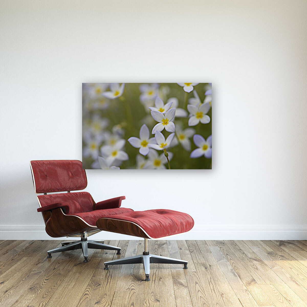 Pretty Ladies Reproduction