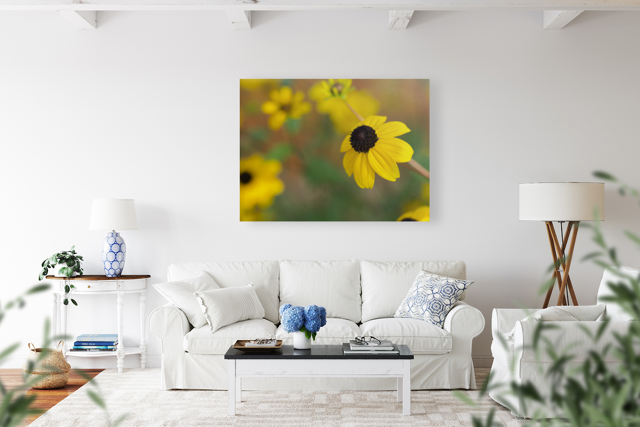 Black Eye Reproduction