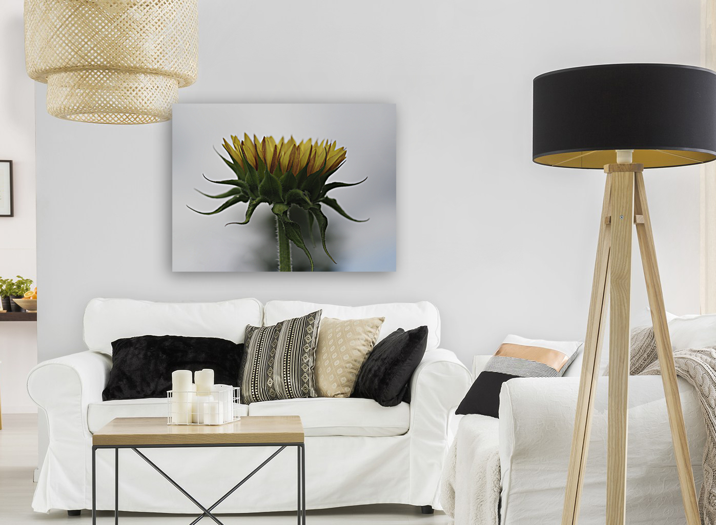 Sunflower Side View Reproduction