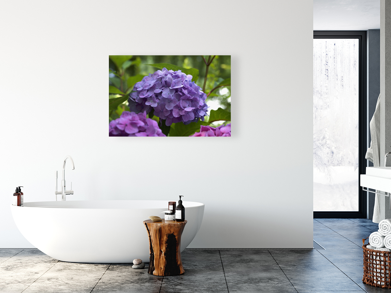 Purple Hydrangea Reproduction