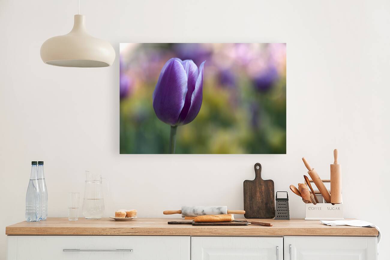 The Purple One Reproduction