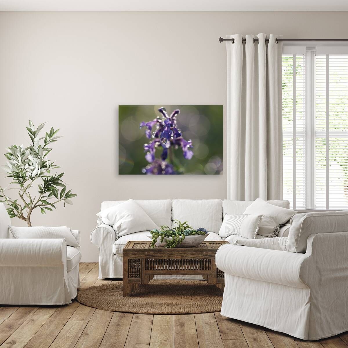 Drops and Bokeh Reproduction