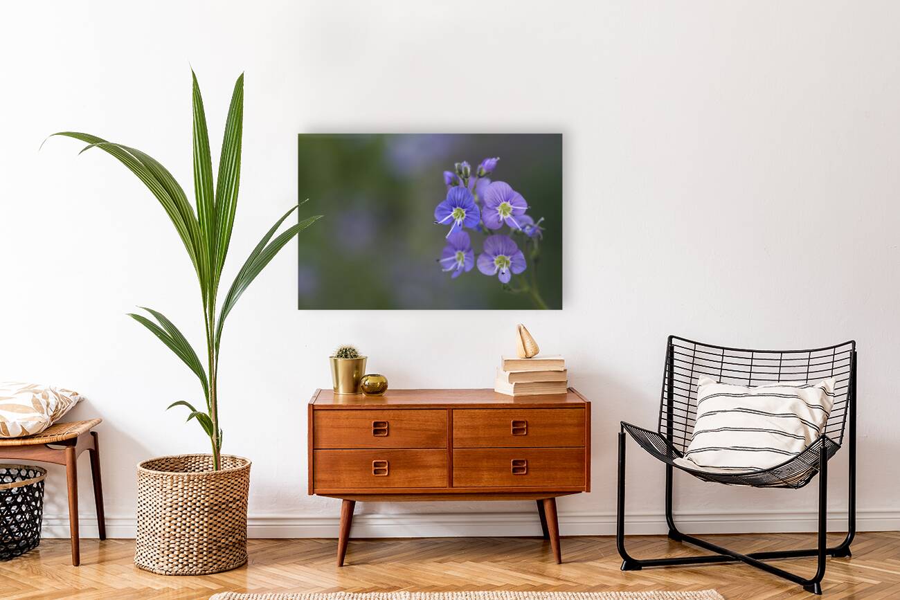 Farewell Reproduction