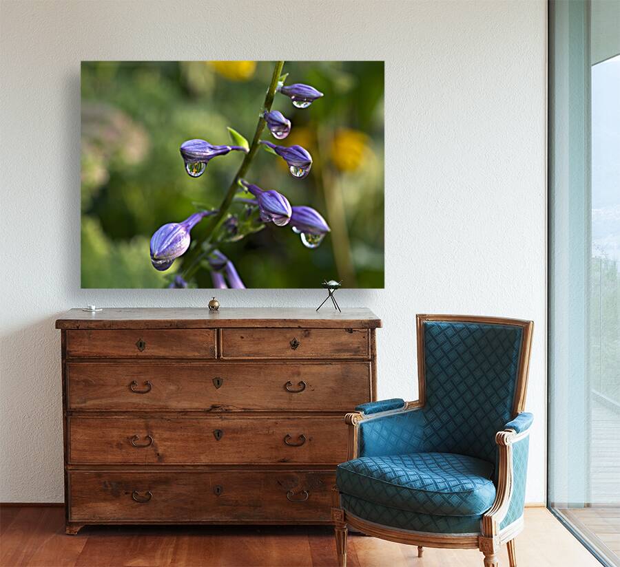 Rain Drops Reproduction