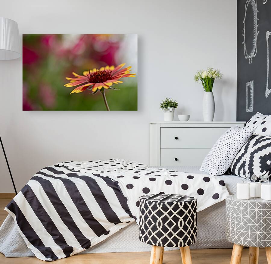 Blanket Flower Reproduction