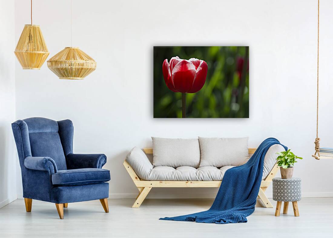 Pretty One Reproduction