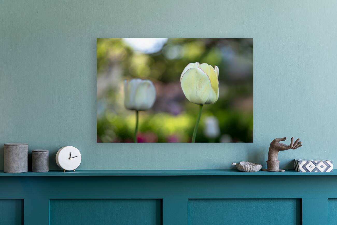 Pure and Simple Reproduction