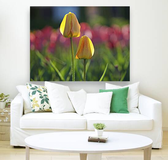 Two of a Kind Reproduction