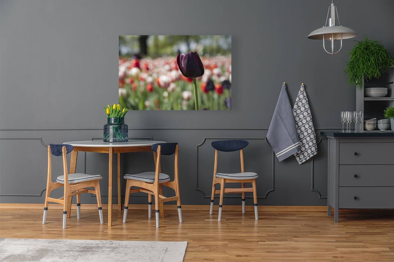 The Queen Reproduction