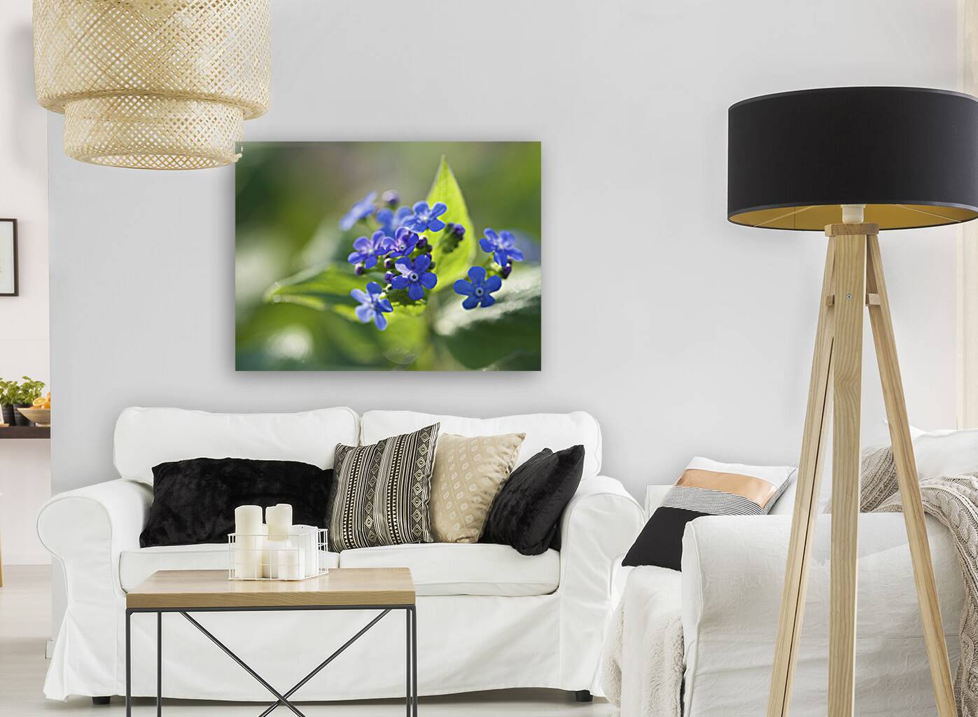 Pretty Ones Reproduction