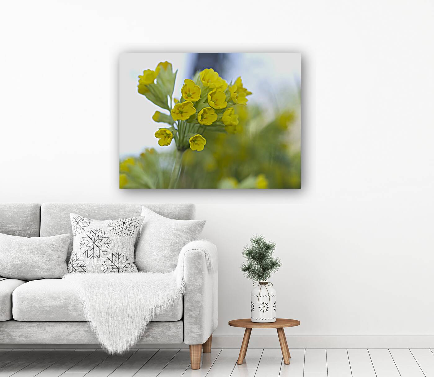 Mes Jolies Reproduction