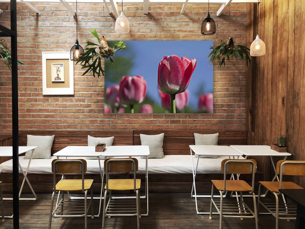 Oh Mother Reproduction