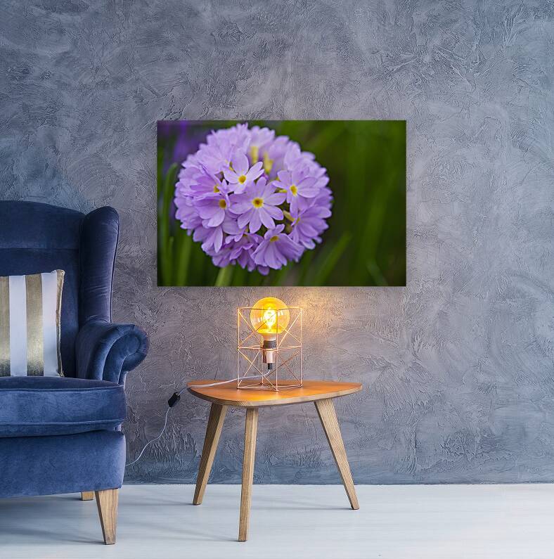 Drumstick Reproduction