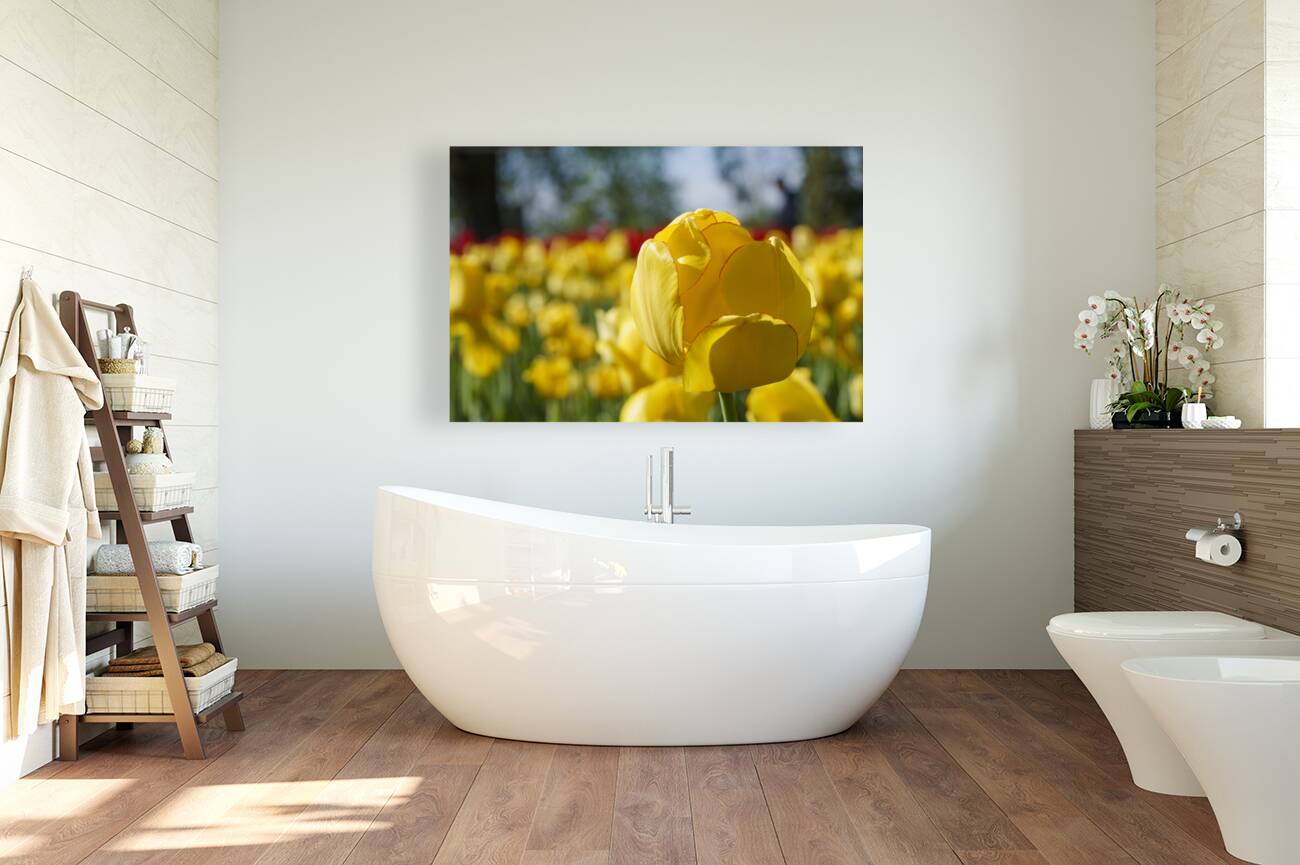 Amongst Others Reproduction