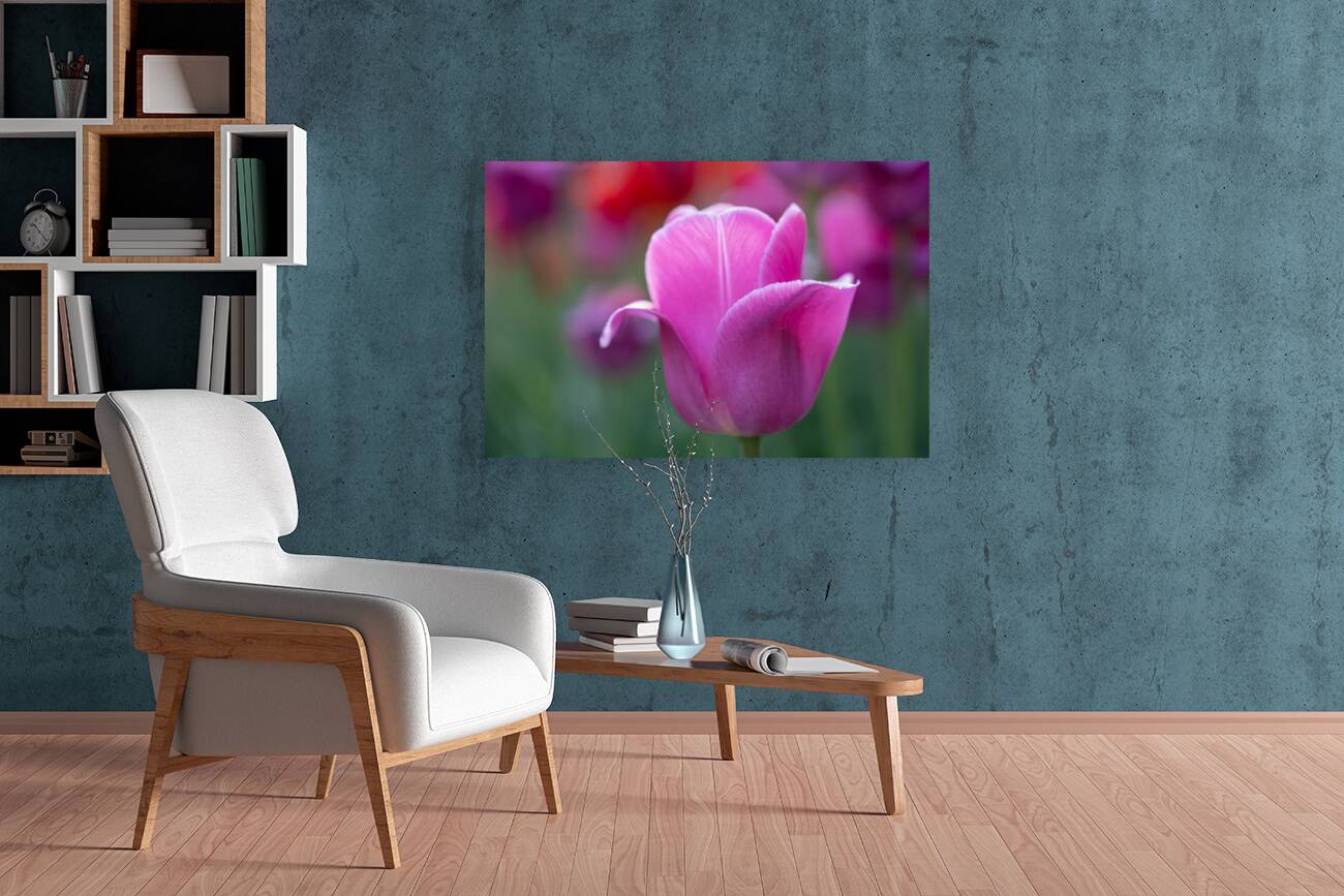 Pretty as a Tulip Reproduction