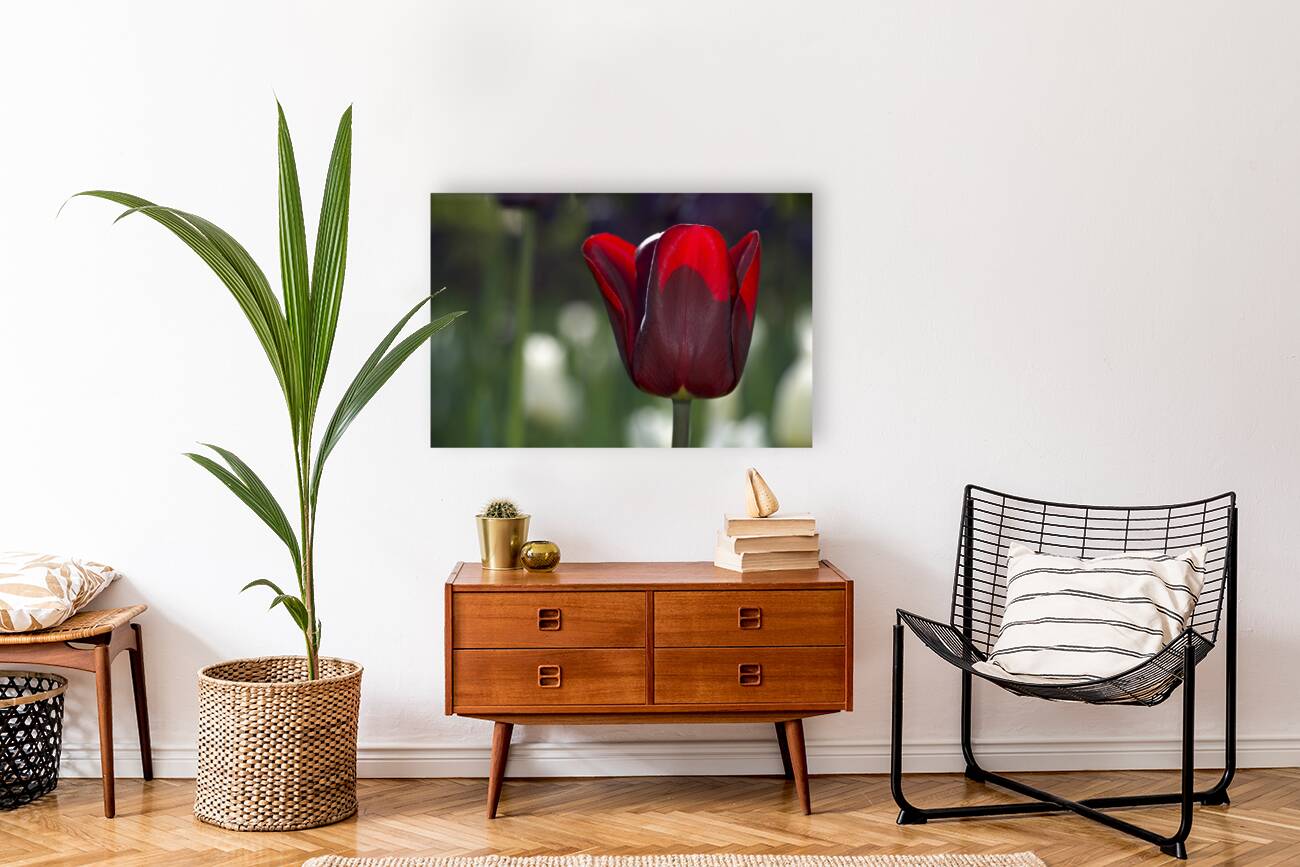 Exquisite Beauty Reproduction