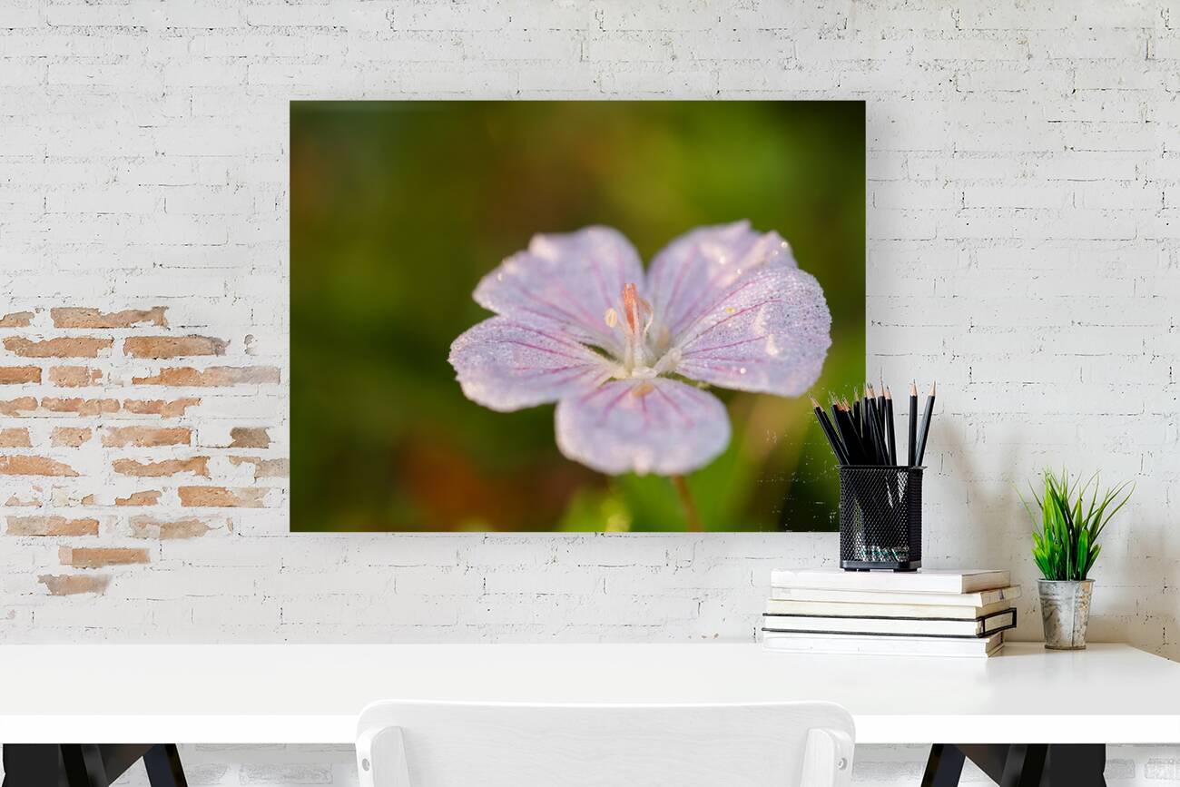 Pretty Pretty Reproduction