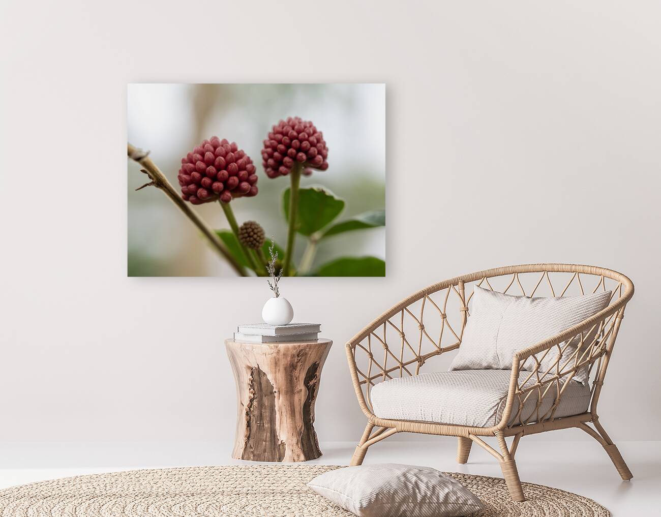 Powder Puff Buds Reproduction