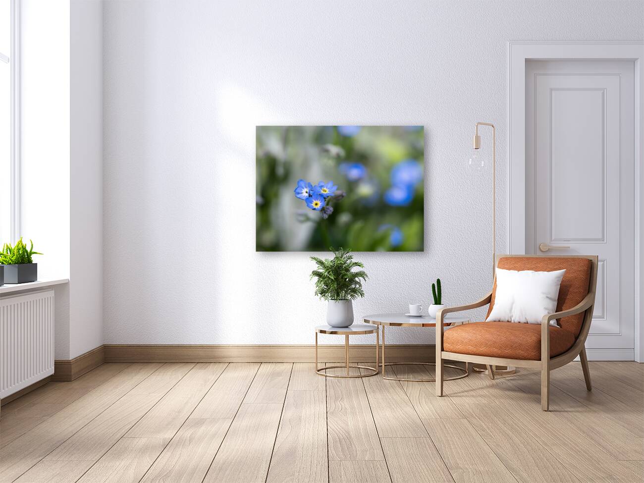 Beauties in Blue Reproduction