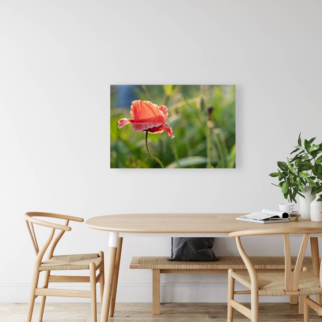 Pretty Poppy Reproduction