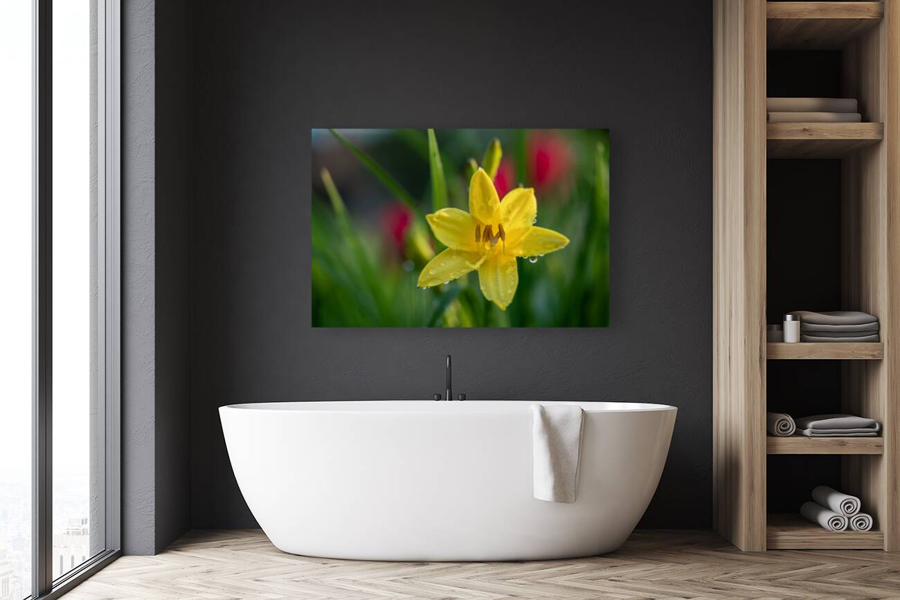 Wet Daylily Reproduction