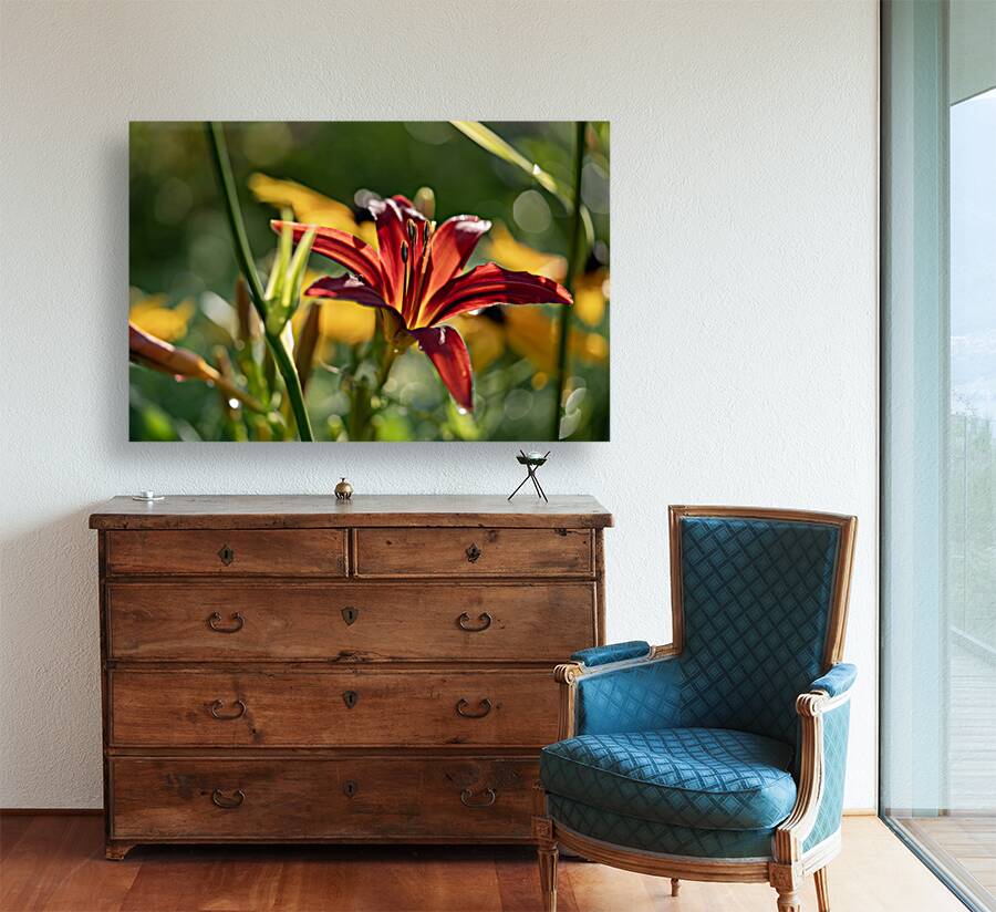 In the Field Reproduction