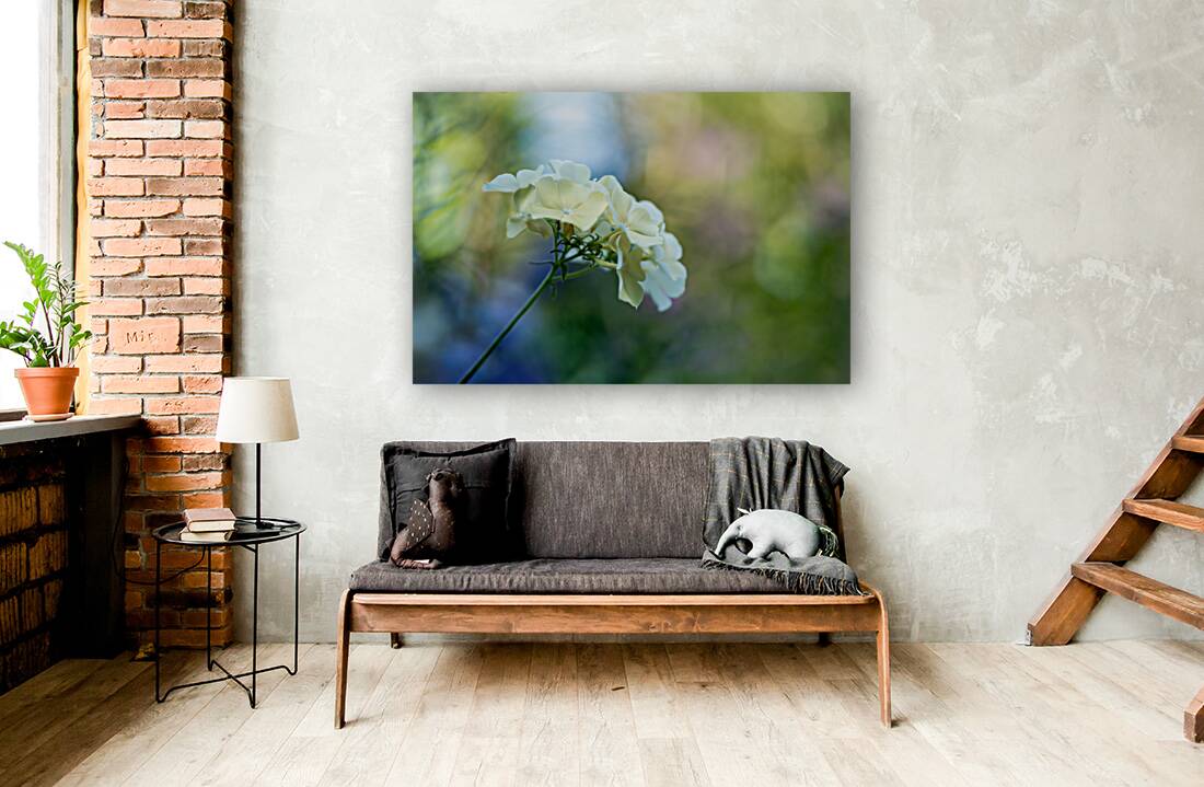 Dreamy State 2 Reproduction