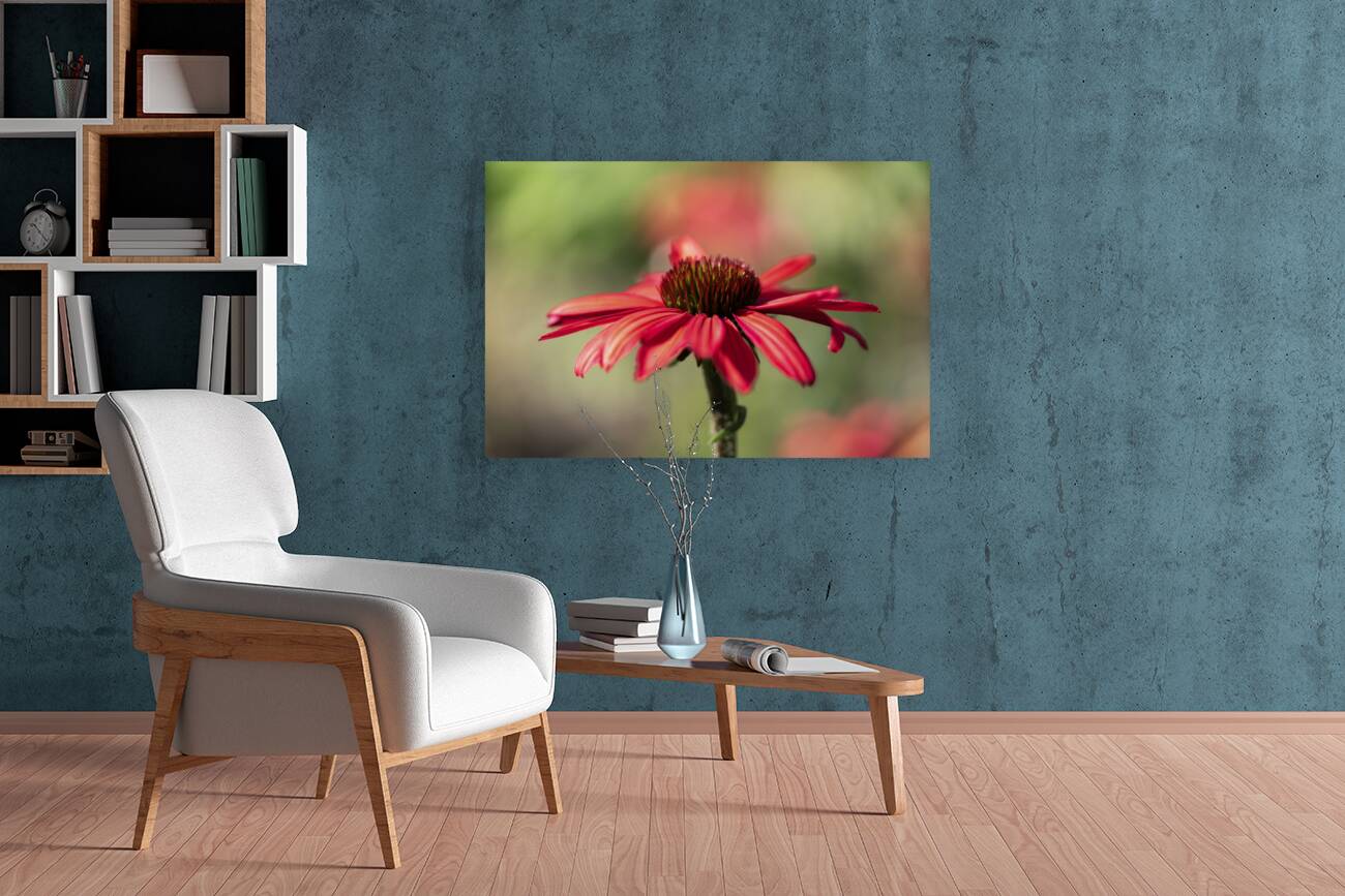 Simply Red Reproduction