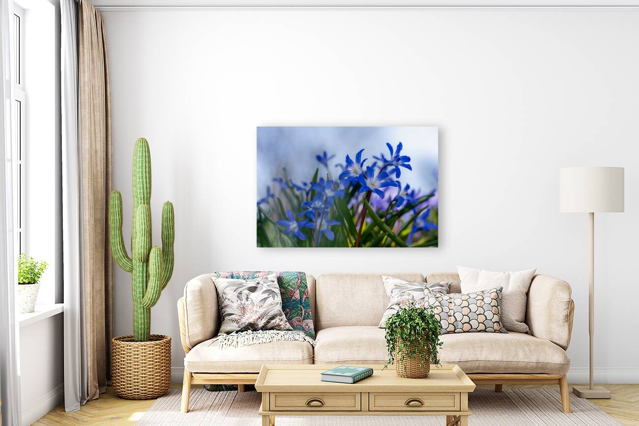 Little Blue Bulbs Reproduction