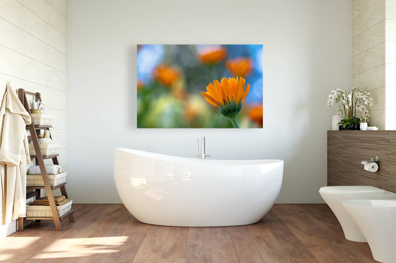 Foreground Reproduction