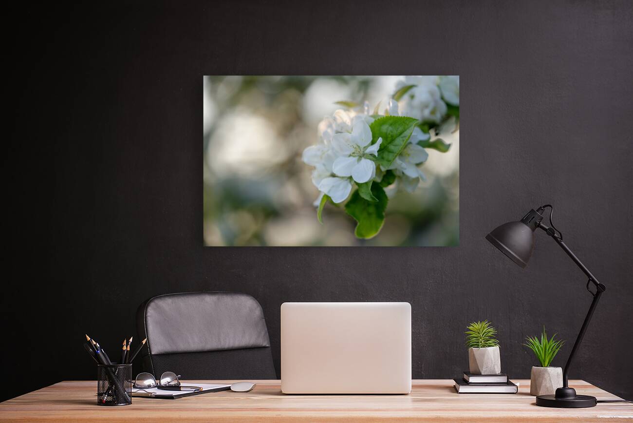 Whispering Blooms Reproduction