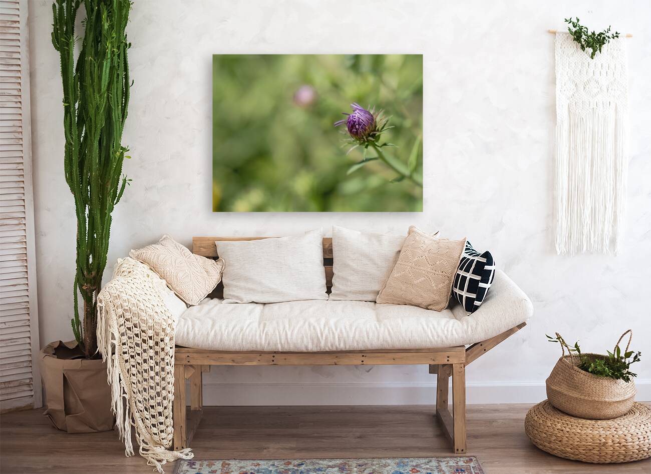 Aster Bud Reproduction