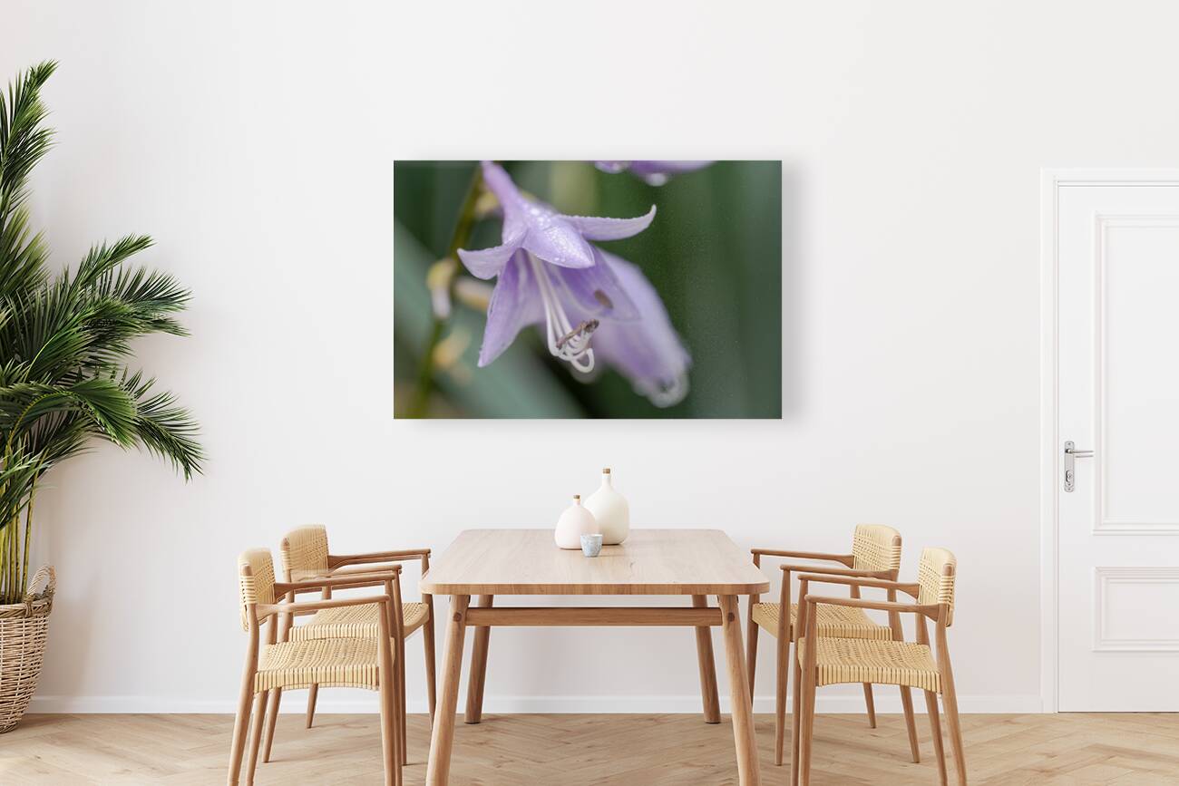 Breeze Blooms Reproduction