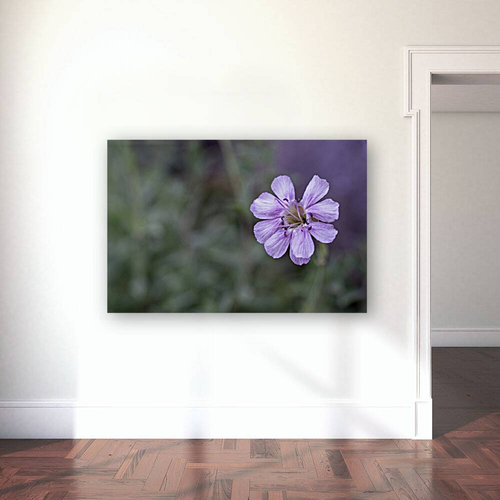 Mauve Melody Reproduction