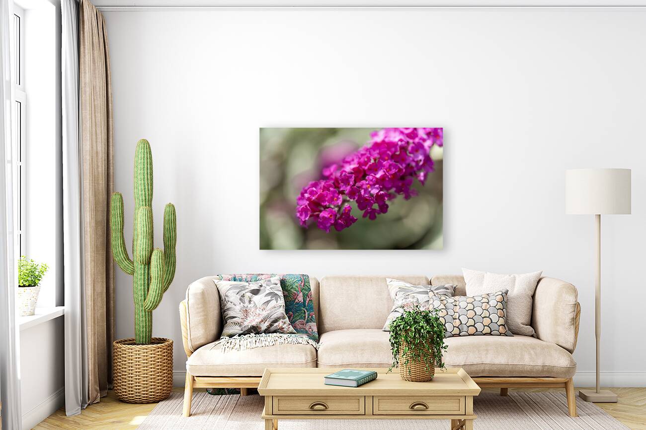 Orange Eye Reproduction