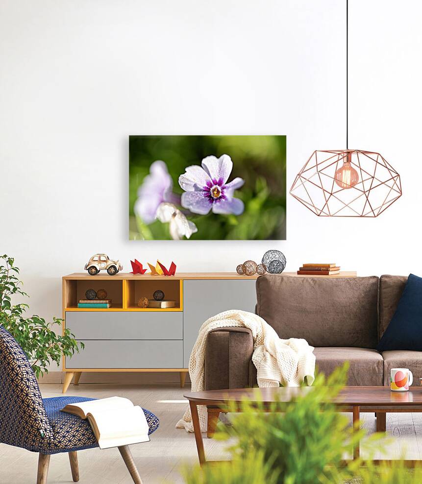 Scarlet Pimpernel Reproduction