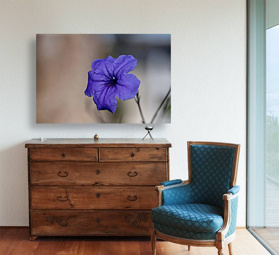 Call Me Violet Reproduction