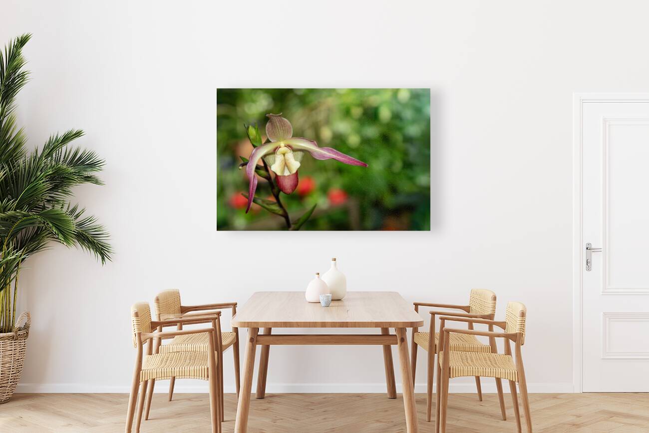 Call Me Willie Reproduction