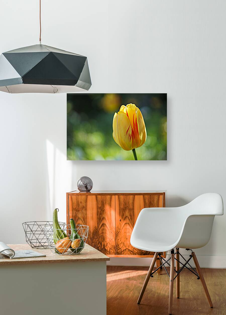 In the Foreground Reproduction