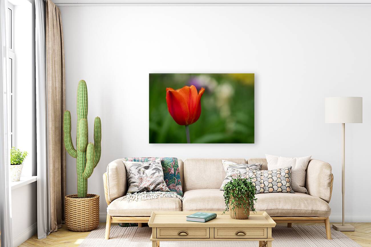 Lovely in Red Reproduction