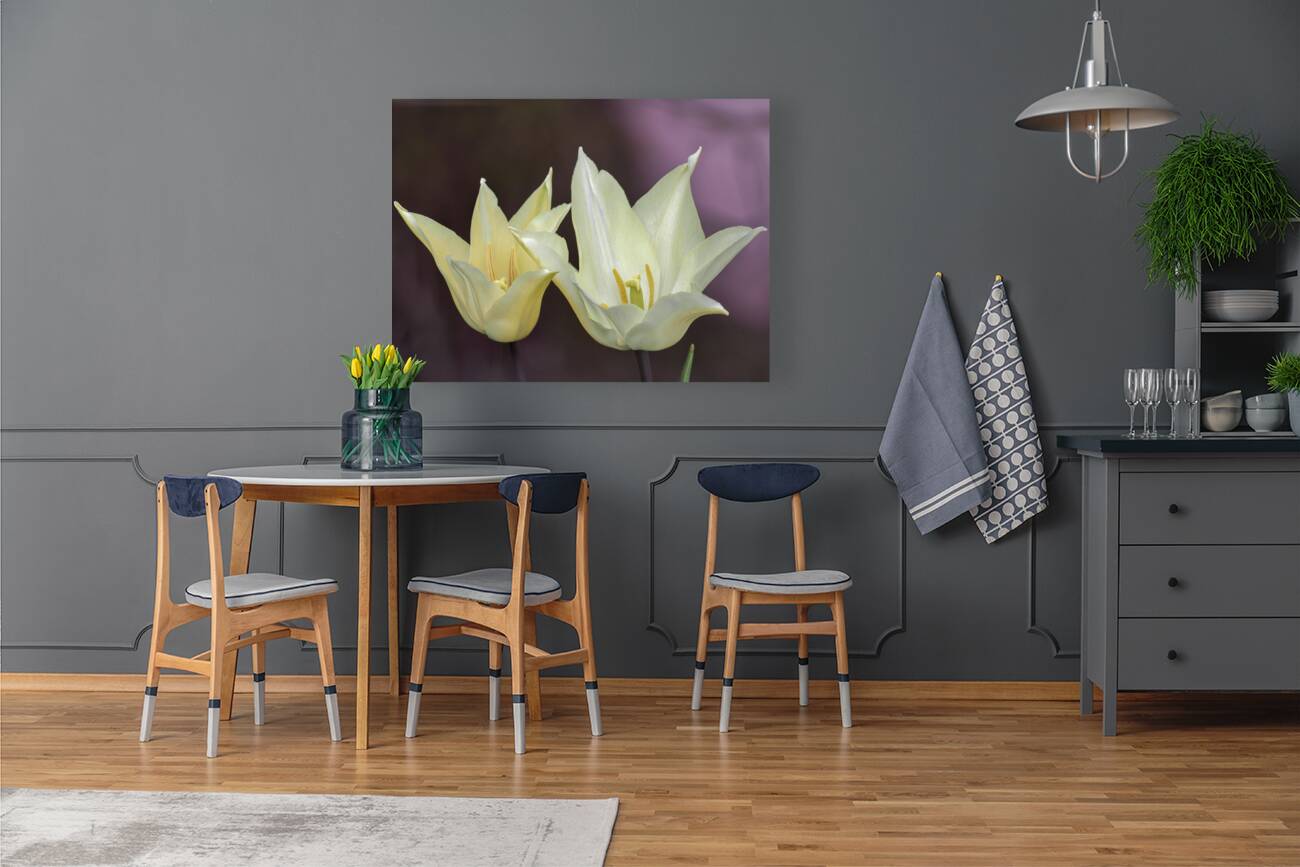 Quite a Pair Reproduction