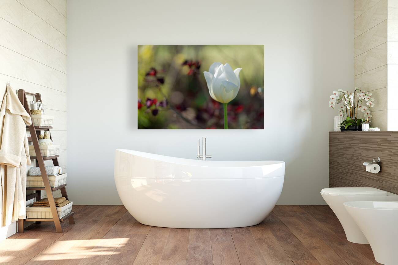 Snow White Reproduction