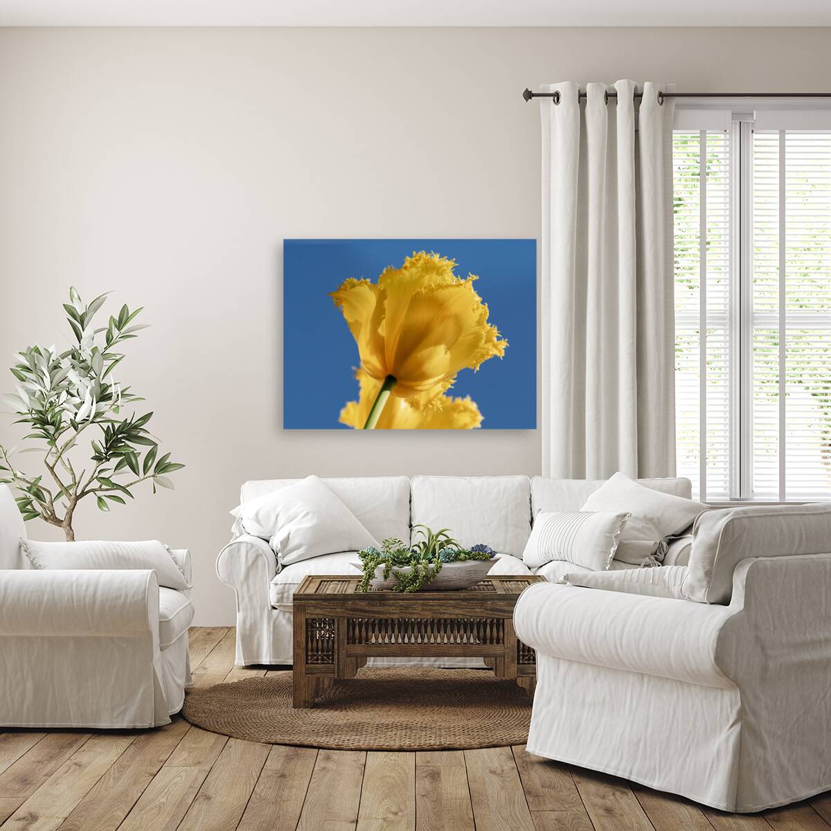 To The Sky Reproduction