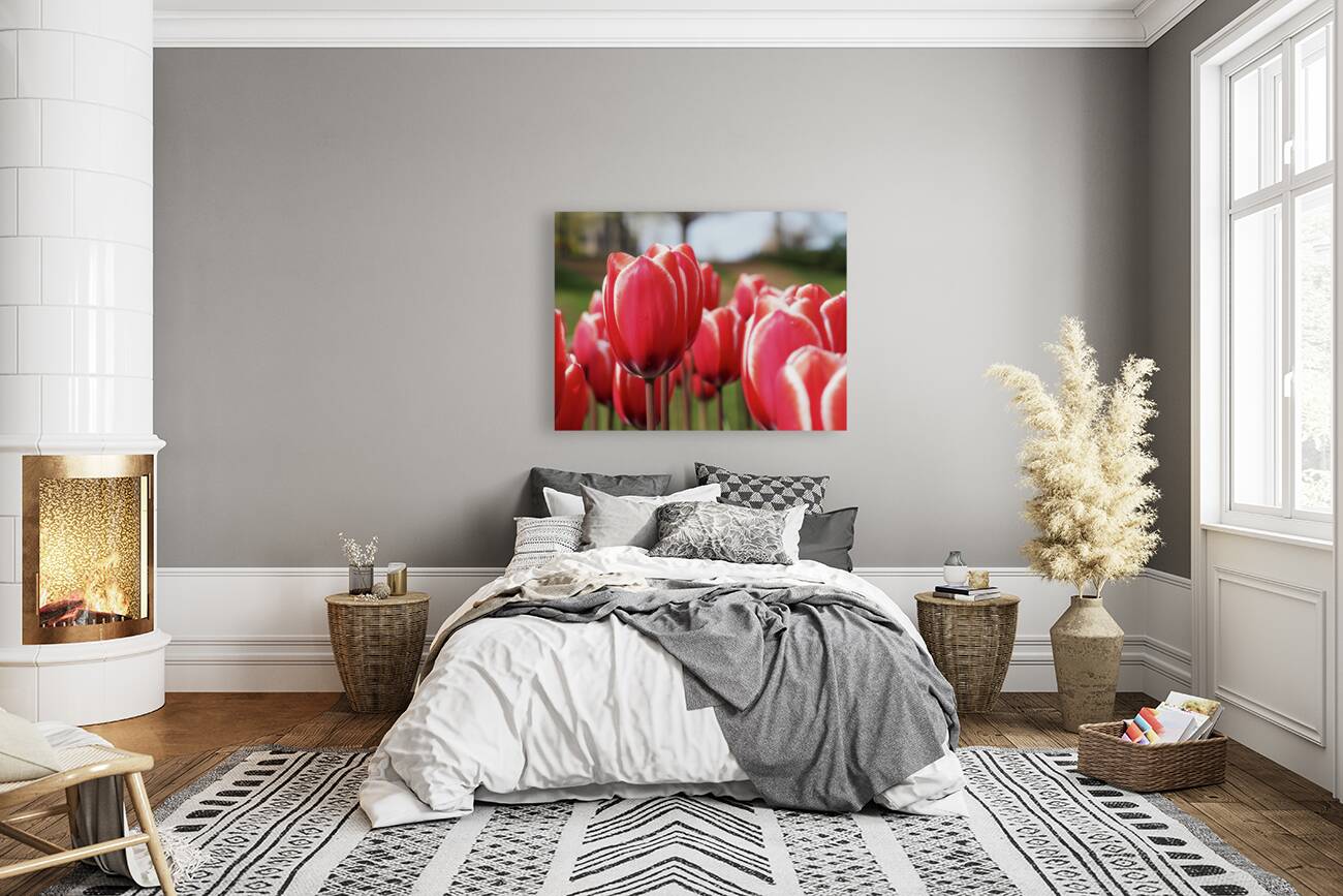 Look at Us Reproduction