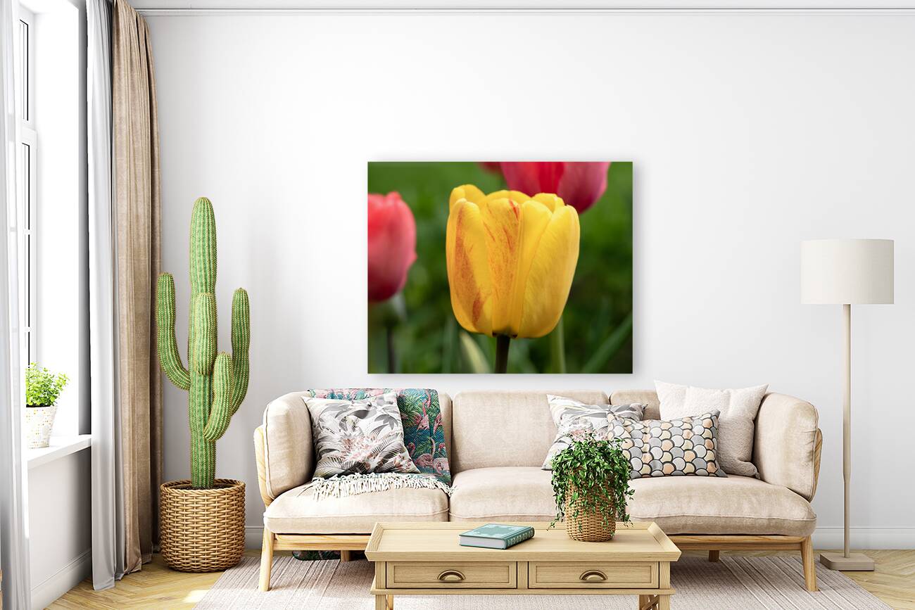 Surrounded by Beauty Reproduction