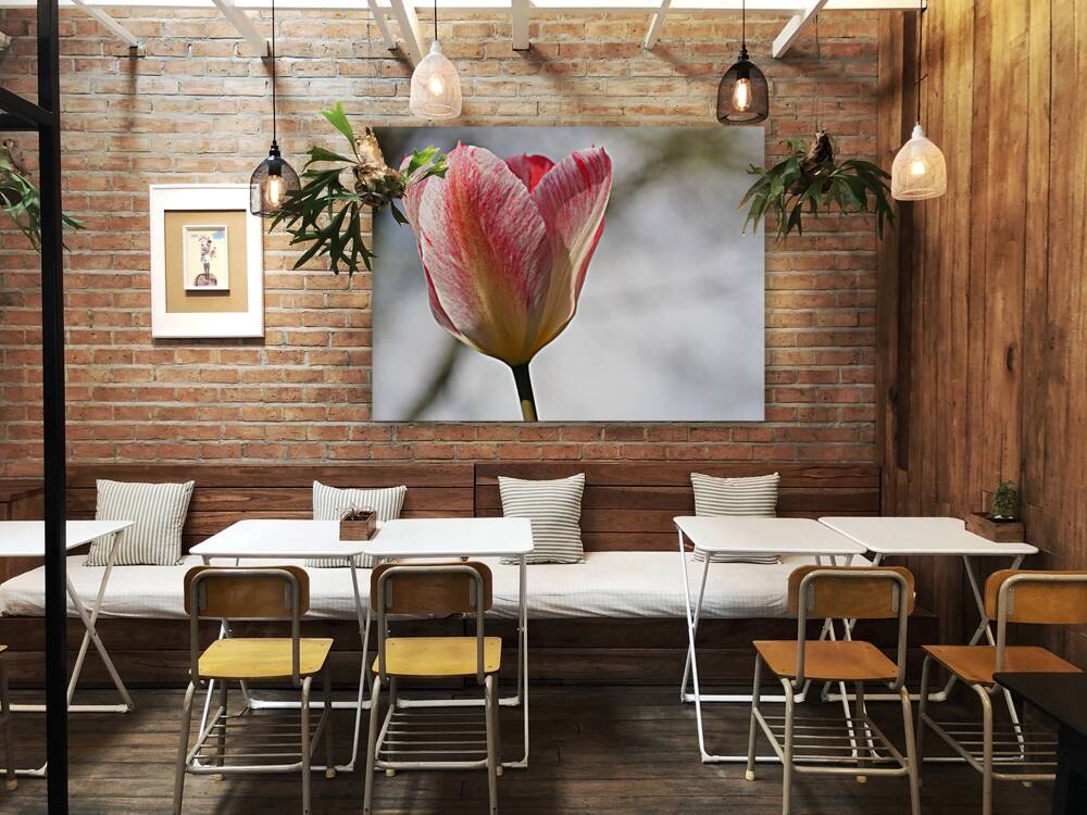 Cheerful Lady Reproduction