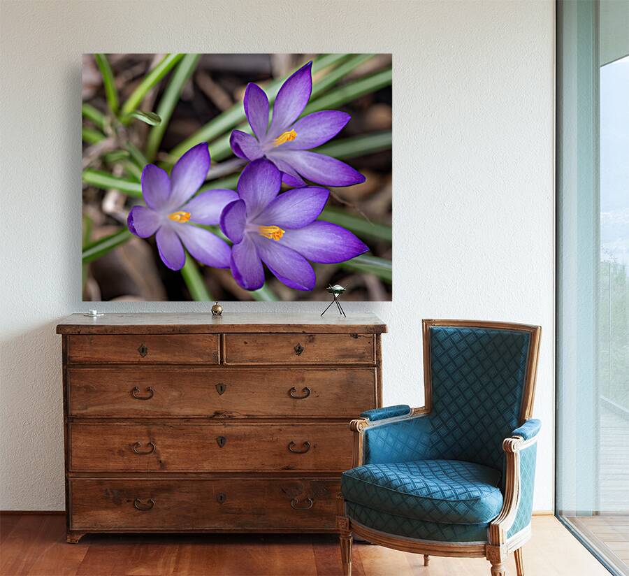 Triplets Reproduction