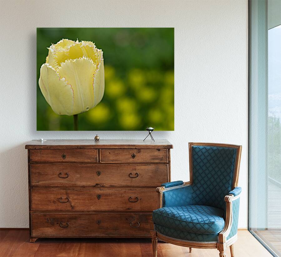 Elegant with Fringes Reproduction