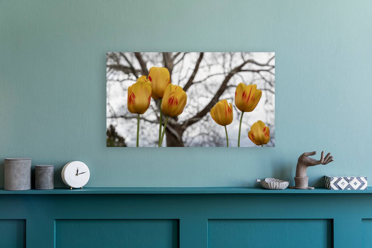 Beautiful Nature Reproduction